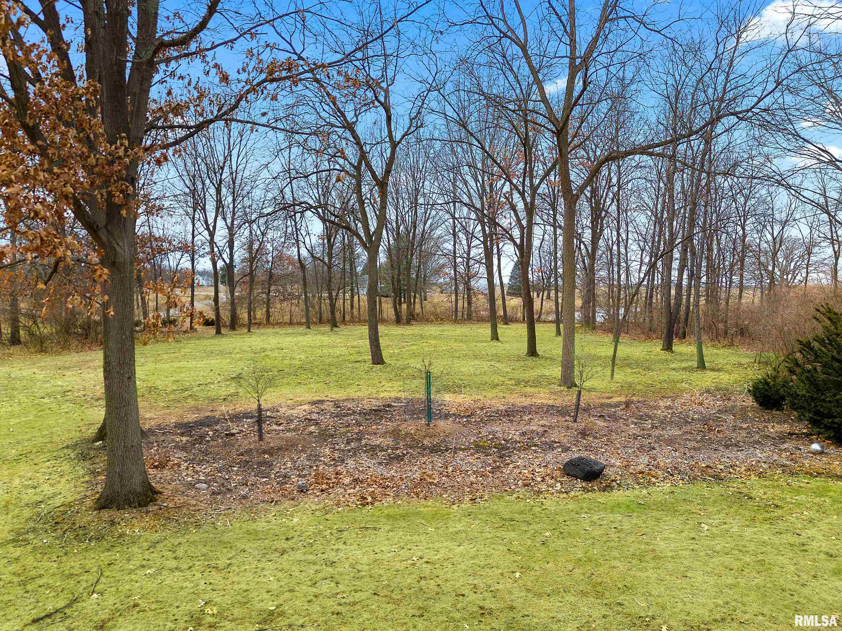 10425 Northpoint Road Tremont, IL 61568 - Photo 8 of 64