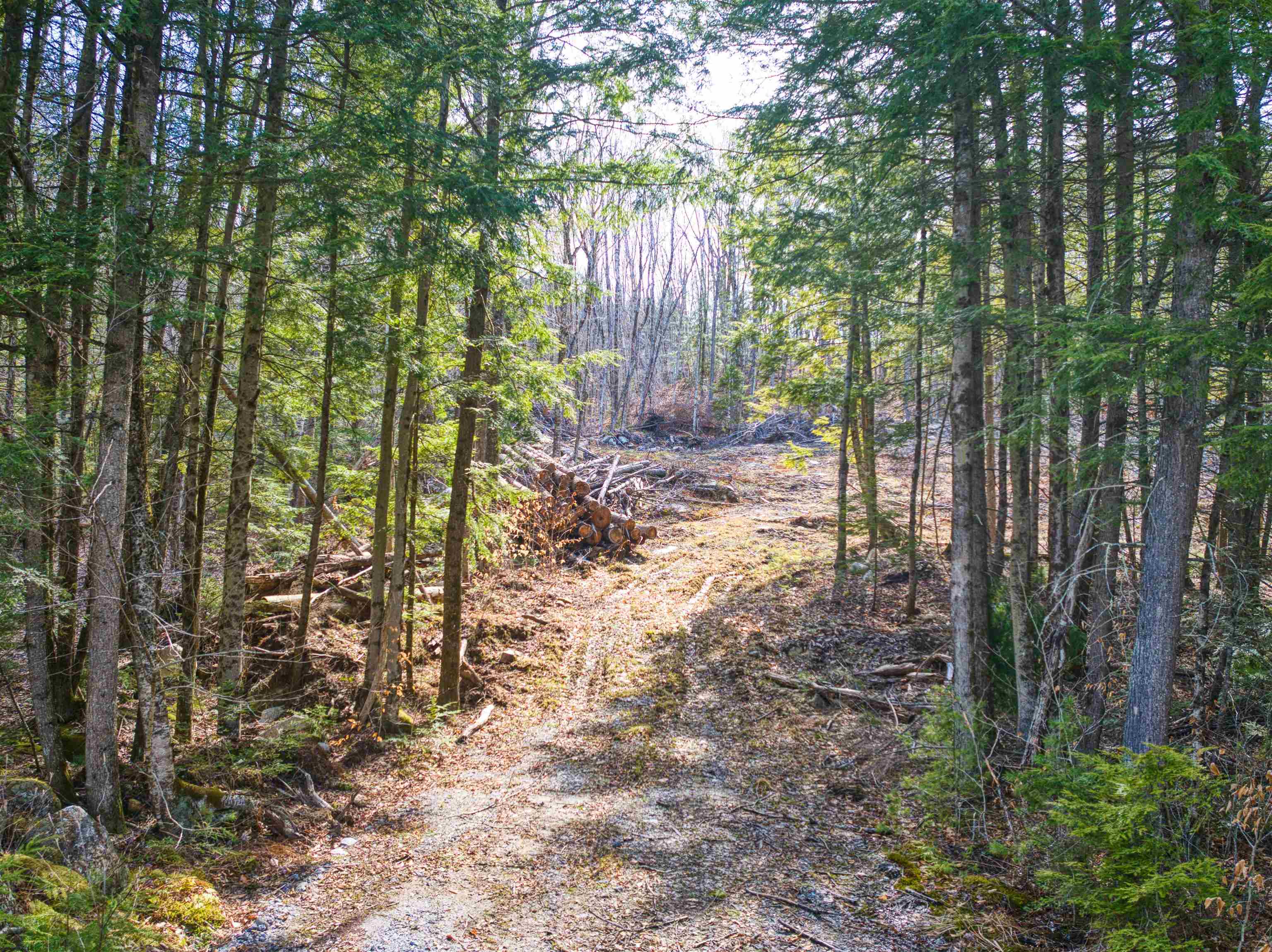 0 Hominy Pot Road Bradford, NH 03221 - Photo 2 of 11