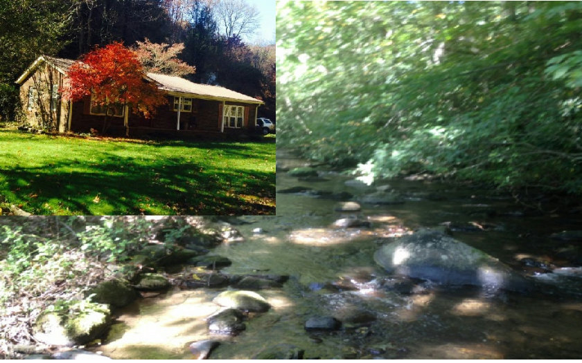 1025 Hyatt Creek Road Marble, NC 28905 - Photo 1 of 1 Main View