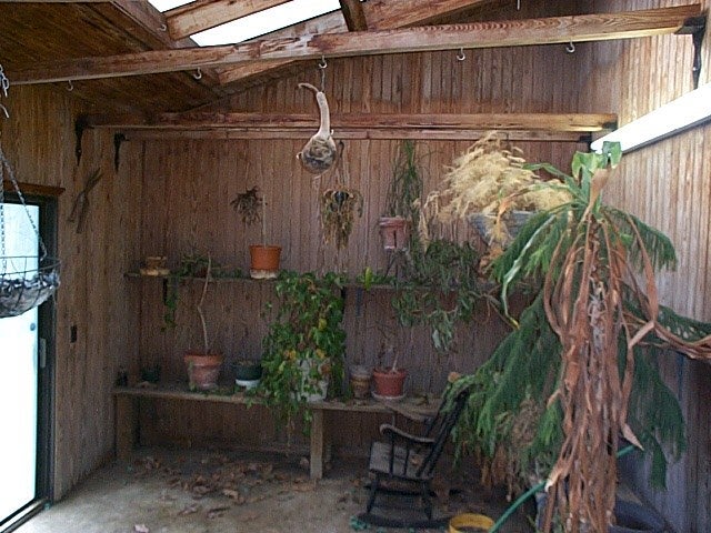 205 Reed Bingham Road Adel, GA 31620 - Photo 15 of 17 Gallery Image 15