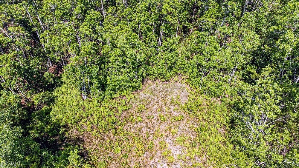 1 Catamount Road LaBelle, FL 33935 - Photo 11 of 17