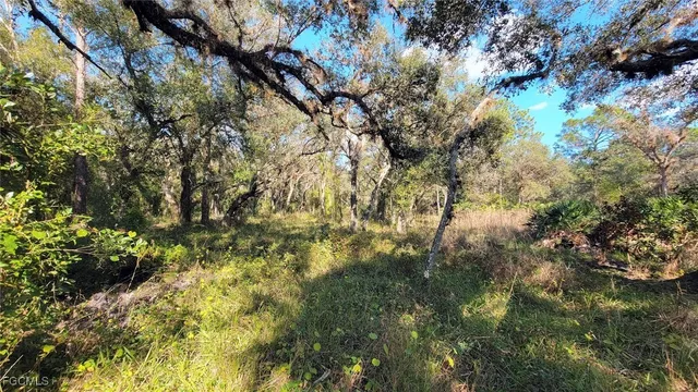 $625,000 | 1 Catamount Road, LaBelle, FL 33935