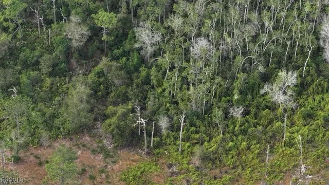 an aerial view of a houses with a yard