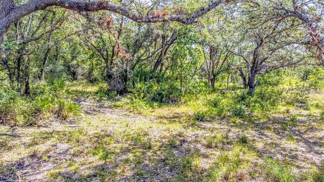 a view of a yard with a tree