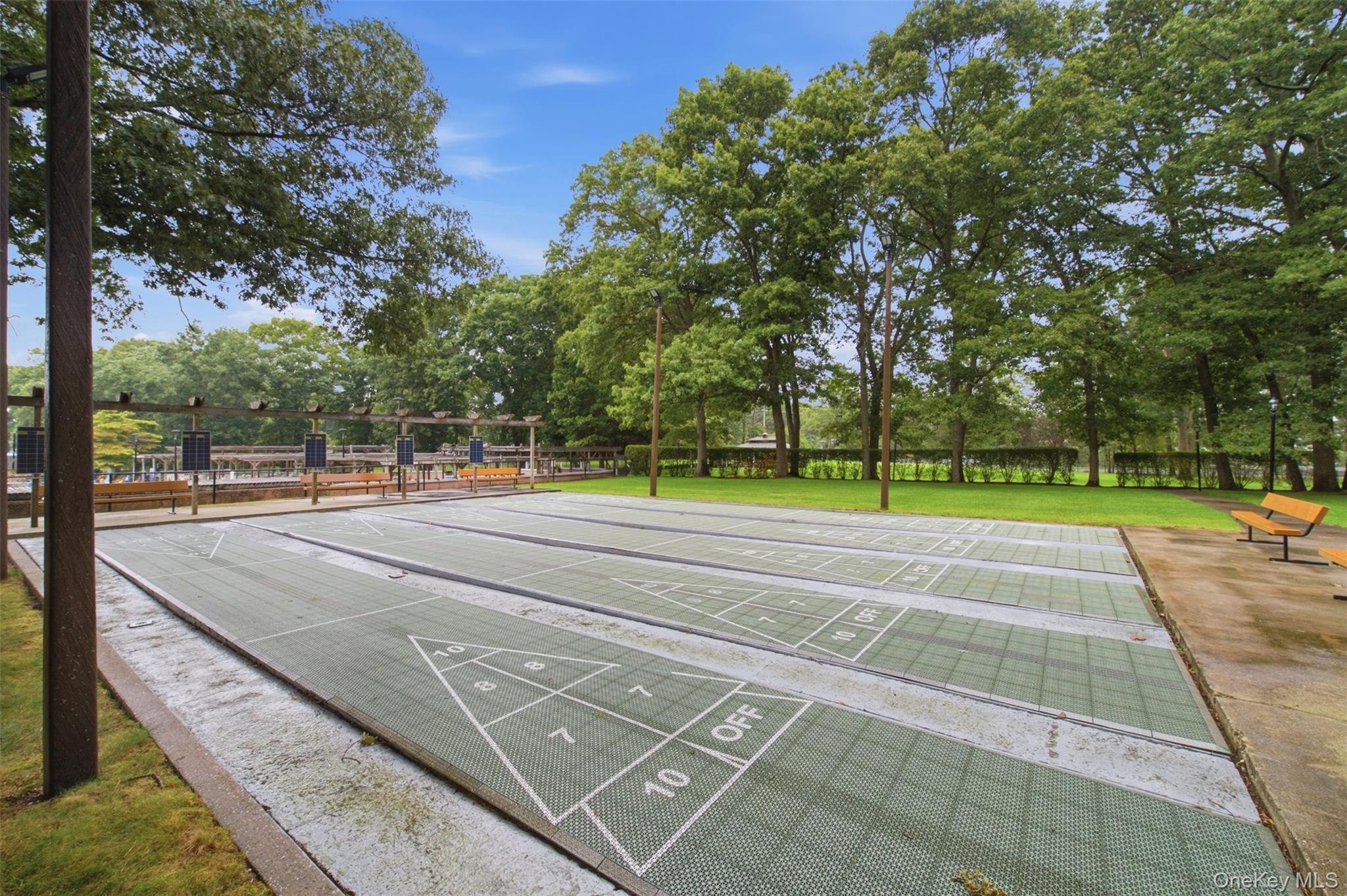 238 Blackpool Court, Unit A Ridge, NY 11961 - Photo 36 of 40 Bocce Ball