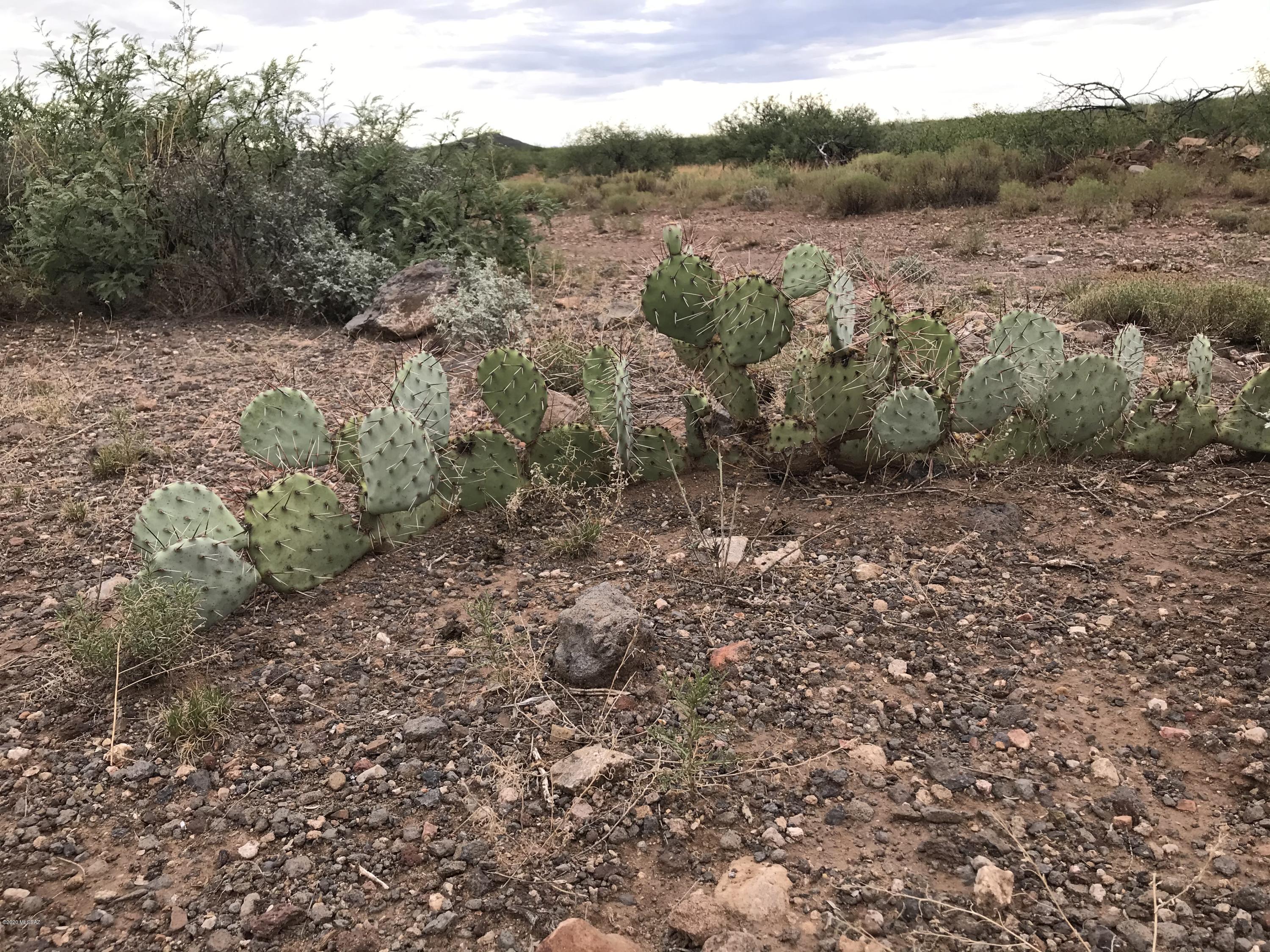 Tbd Silver Creek Road, Unit 7 Douglas, AZ 85607 - Photo 19 of 30 Gallery Image 19