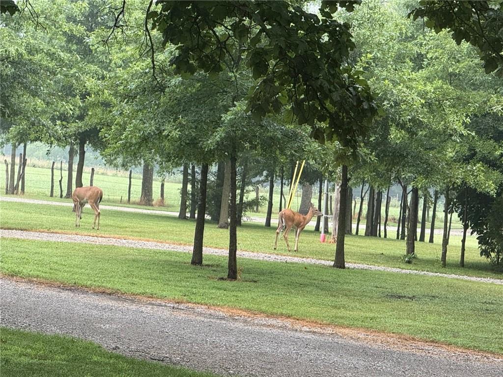 29721 South Hess Road Harrisonville, MO 64701 - Photo 54 of 60