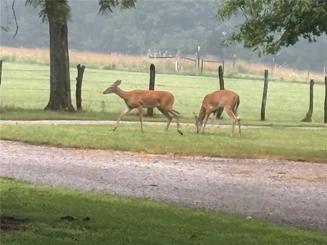 $899,000 | 29721 South Hess Road, Harrisonville, MO 64701