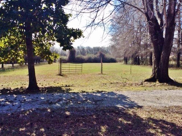 109 Ryans Path Morrison, TN 37357 - Photo 27 of 29 a view of a yard with a tree
