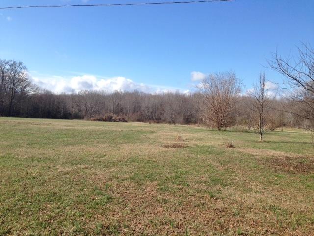 109 Ryans Path Morrison, TN 37357 - Photo 28 of 29 a view of a field