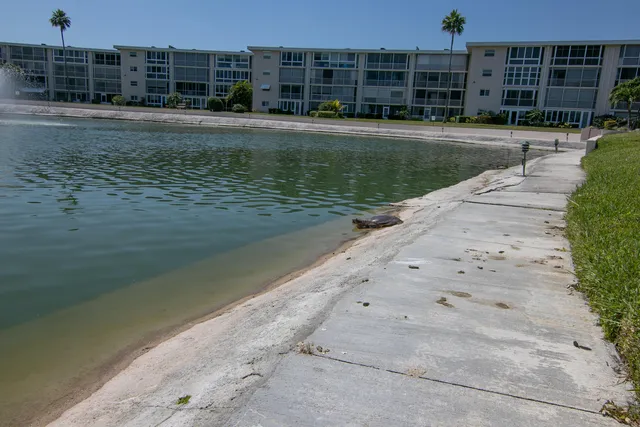 a view of swimming pool with outdoor space and seating area