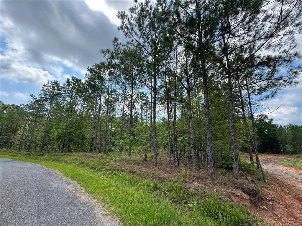 0 Parker Island Road Equality, AL 36026 - Photo 14 of 15 Gallery Image 14