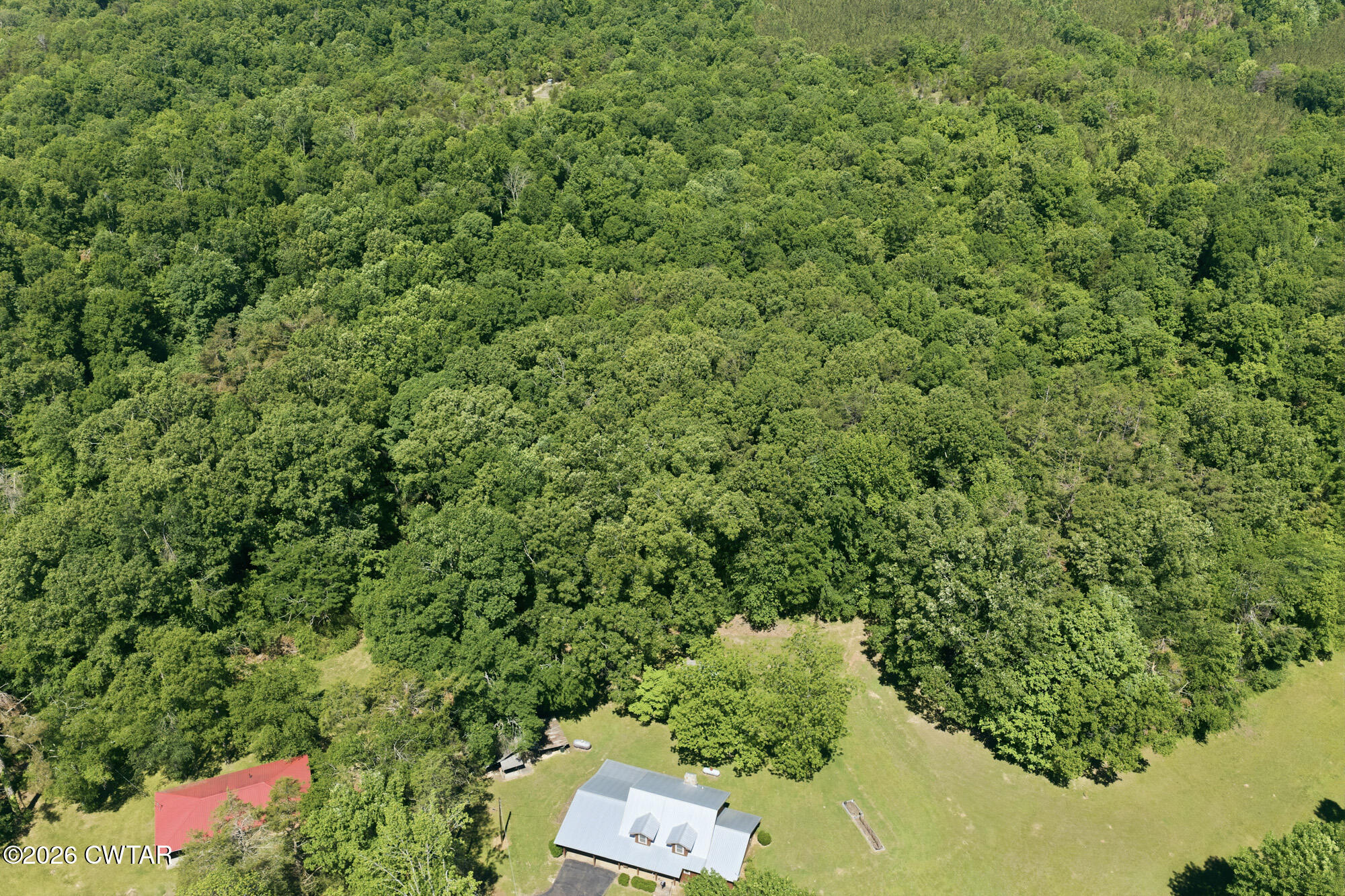 8932 Mt Carmel Road Decaturville, TN 38329 - Photo 41 of 47 a view of a yard with plants