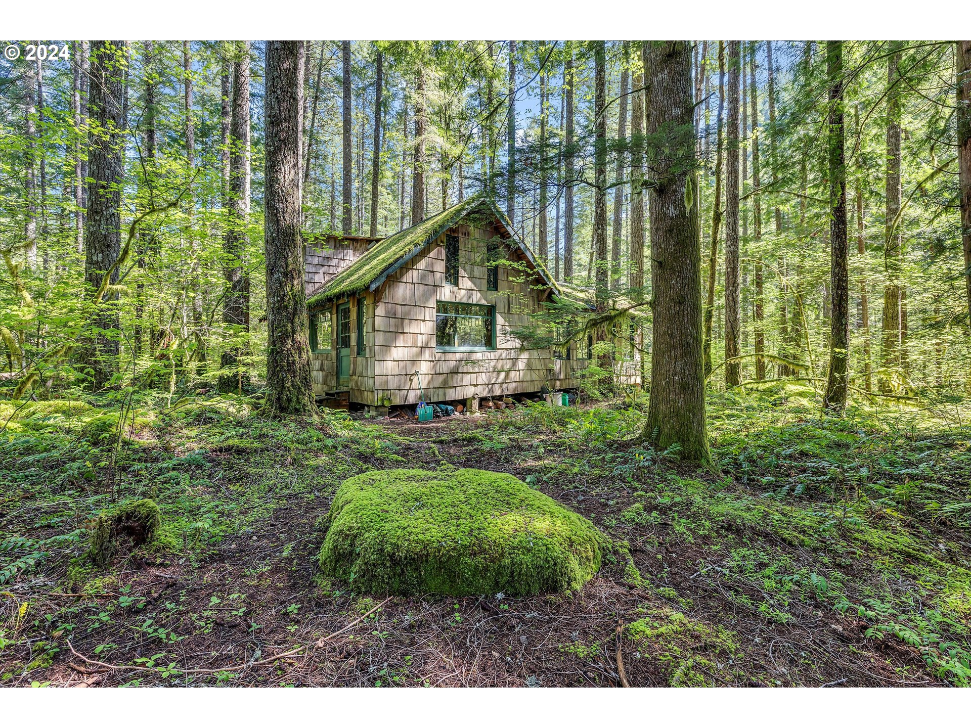 231 Cedar Creek Road Carson, WA 98610 - Photo 1 of 37 Gallery Image 1