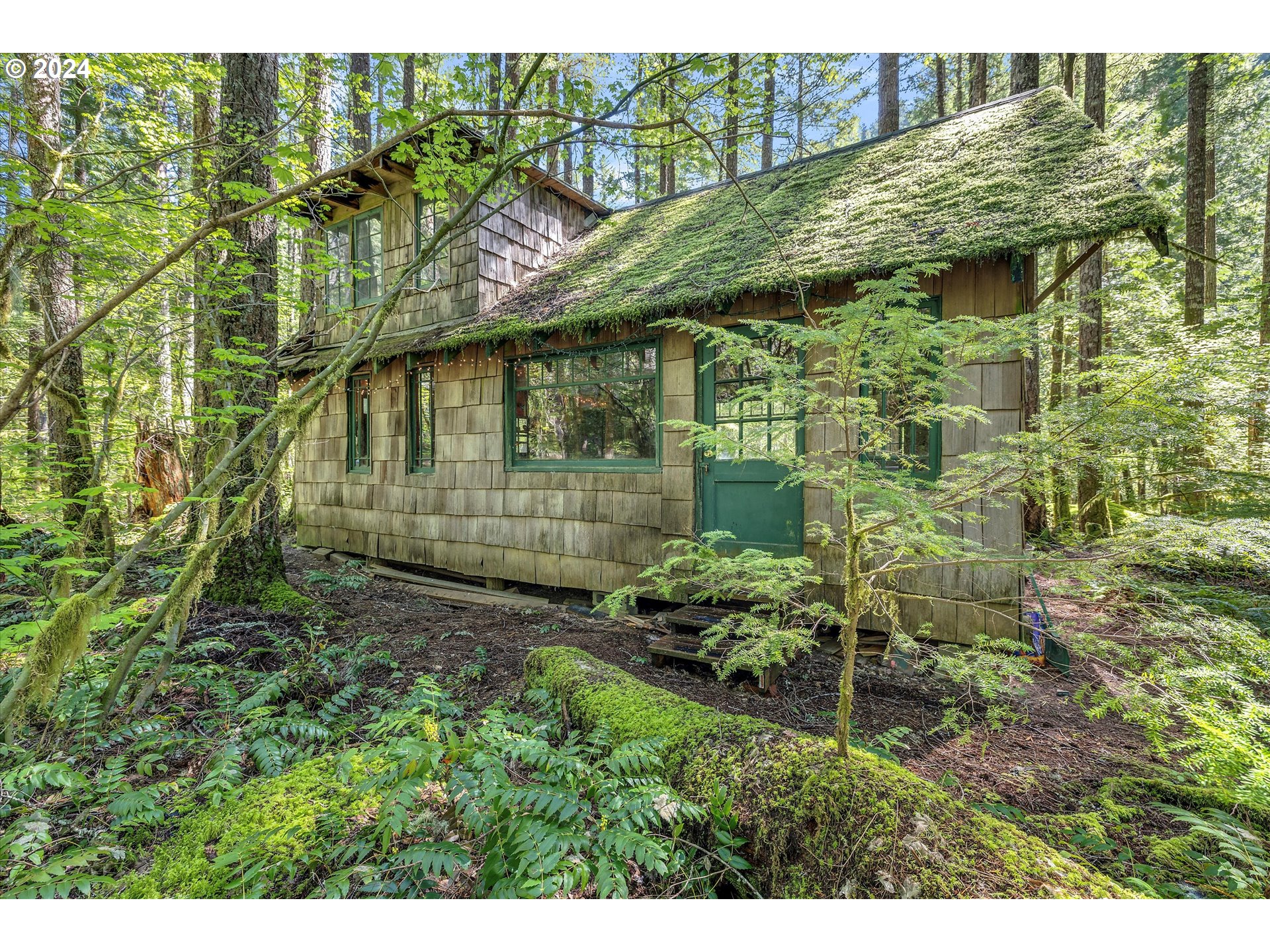 231 Cedar Creek Road Carson, WA 98610 - Photo 22 of 37 Gallery Image 22