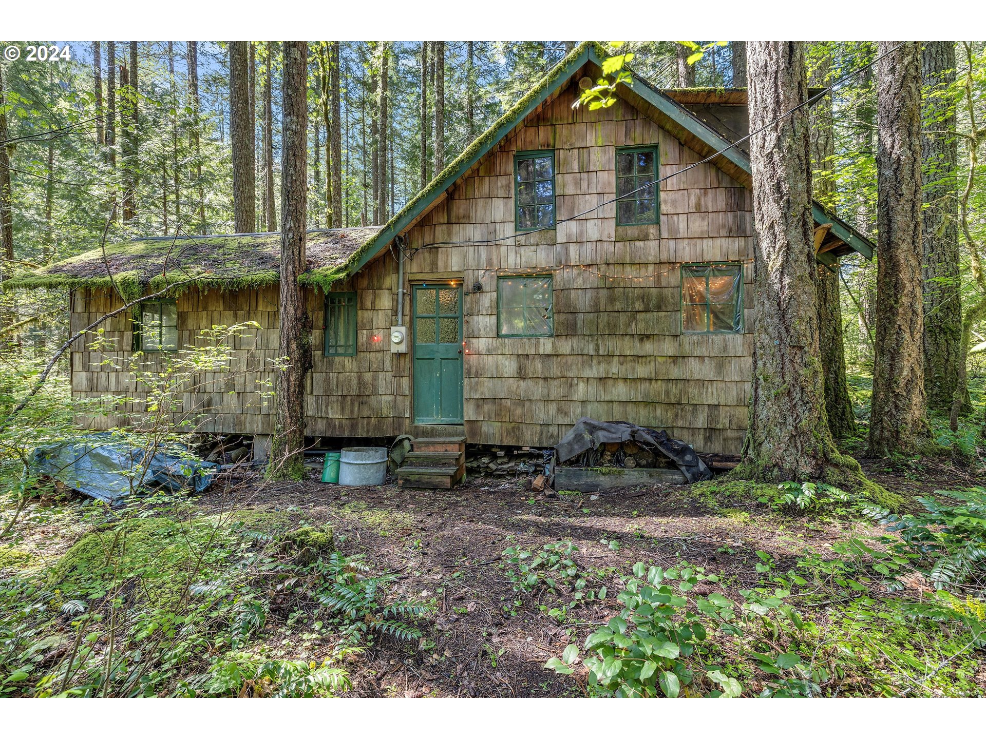 231 Cedar Creek Road Carson, WA 98610 - Photo 23 of 37 Gallery Image 23