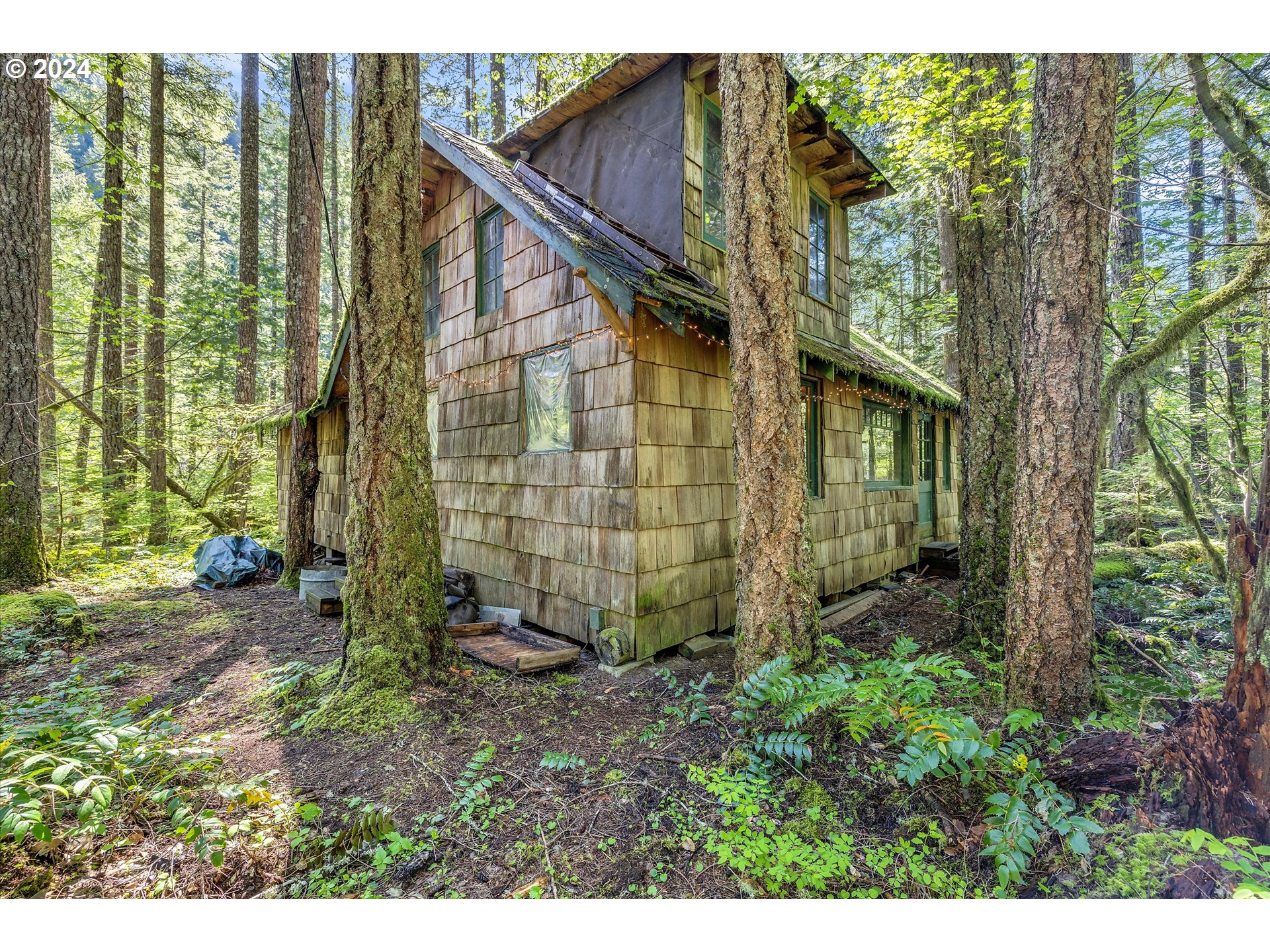 231 Cedar Creek Road Carson, WA 98610 - Photo 24 of 37 Gallery Image 24