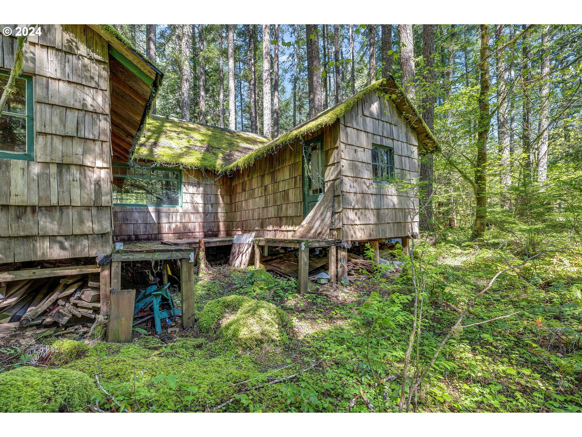 231 Cedar Creek Road Carson, WA 98610 - Photo 25 of 37 Gallery Image 25
