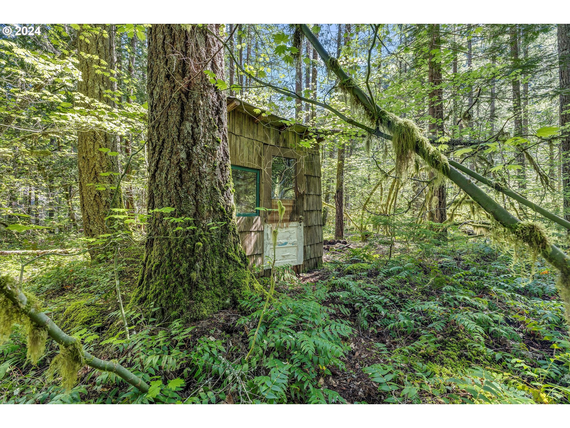 231 Cedar Creek Road Carson, WA 98610 - Photo 26 of 37 Gallery Image 26
