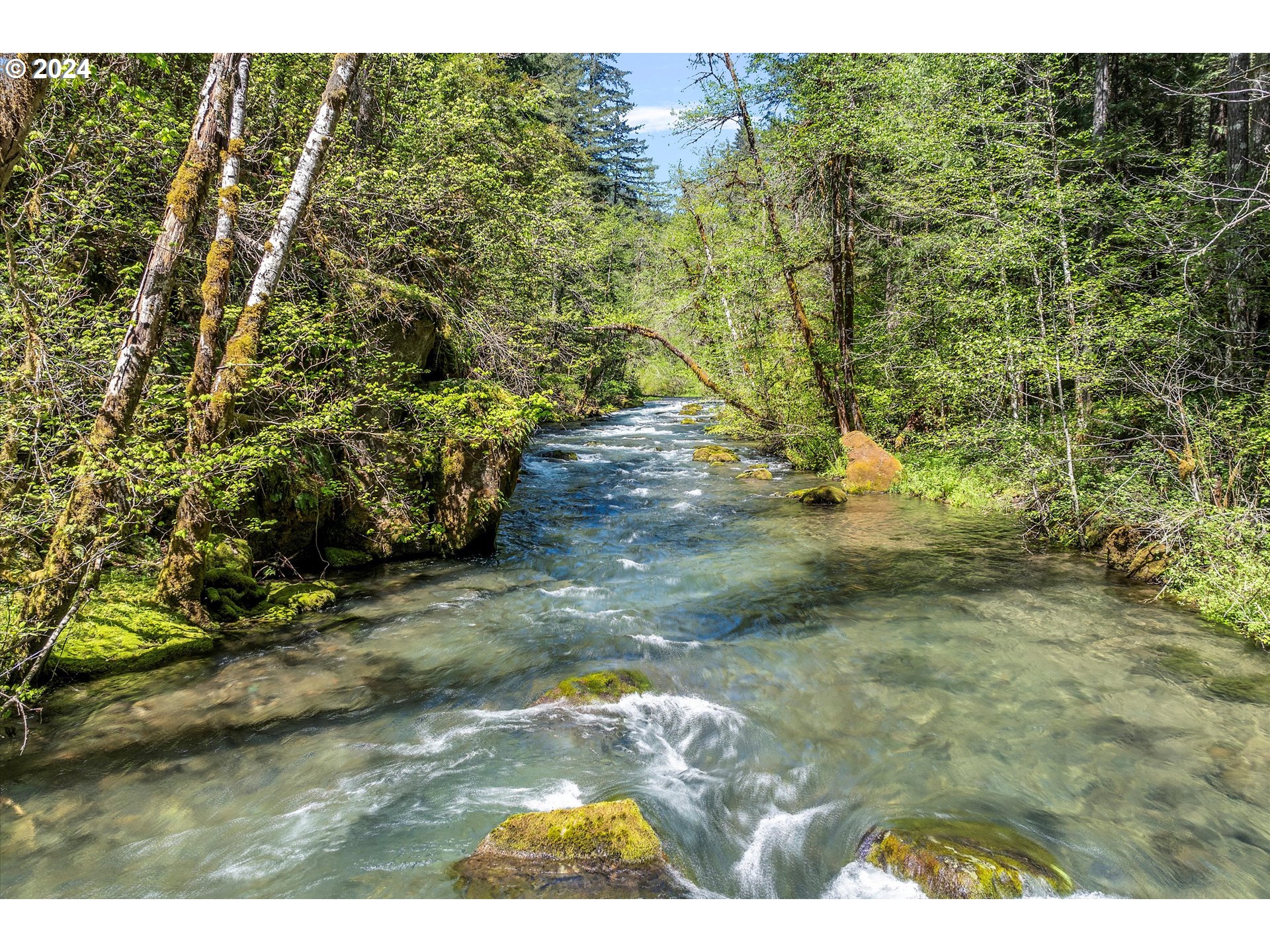 231 Cedar Creek Road Carson, WA 98610 - Photo 27 of 37 Gallery Image 27
