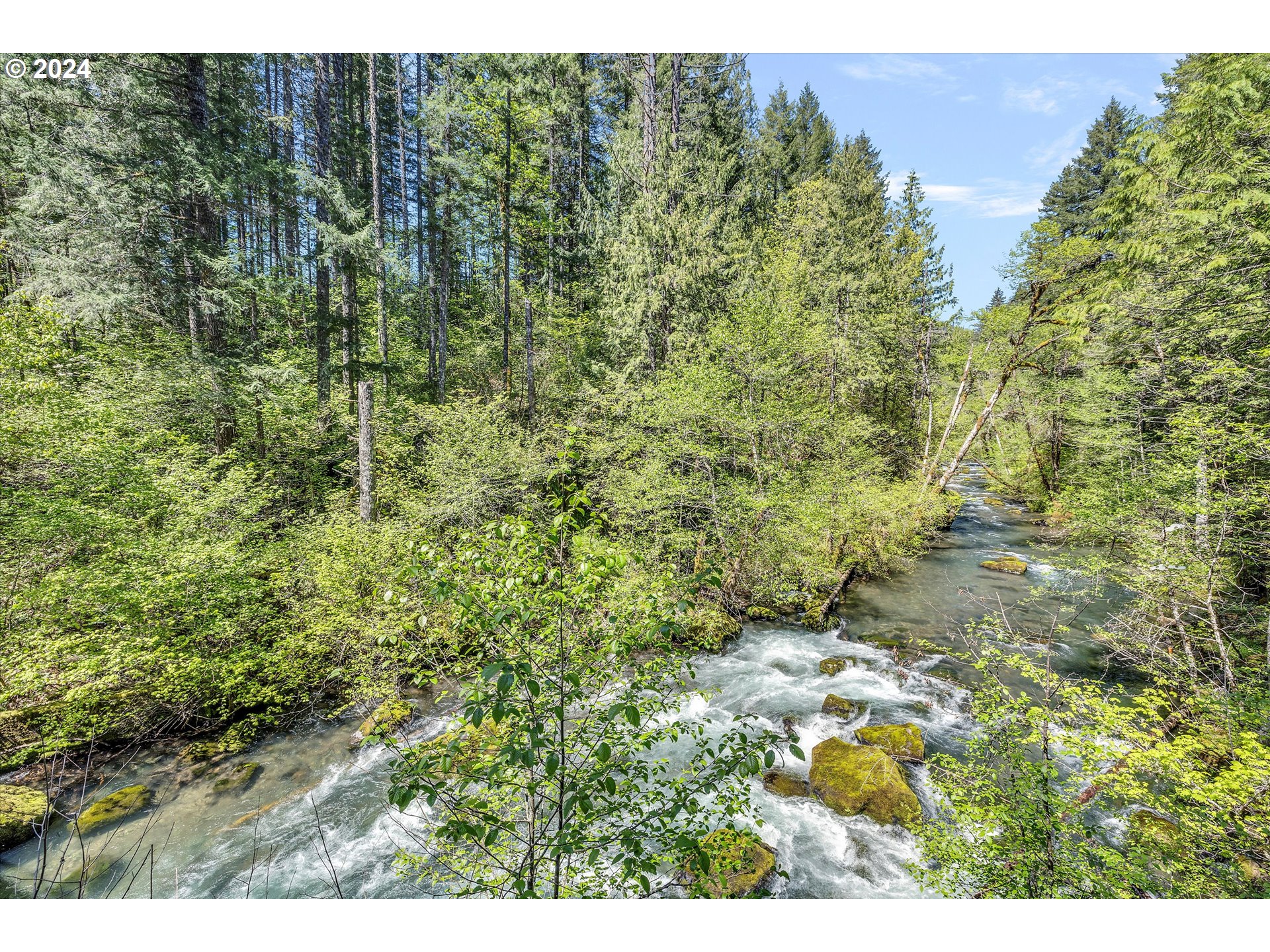 231 Cedar Creek Road Carson, WA 98610 - Photo 28 of 37 Gallery Image 28