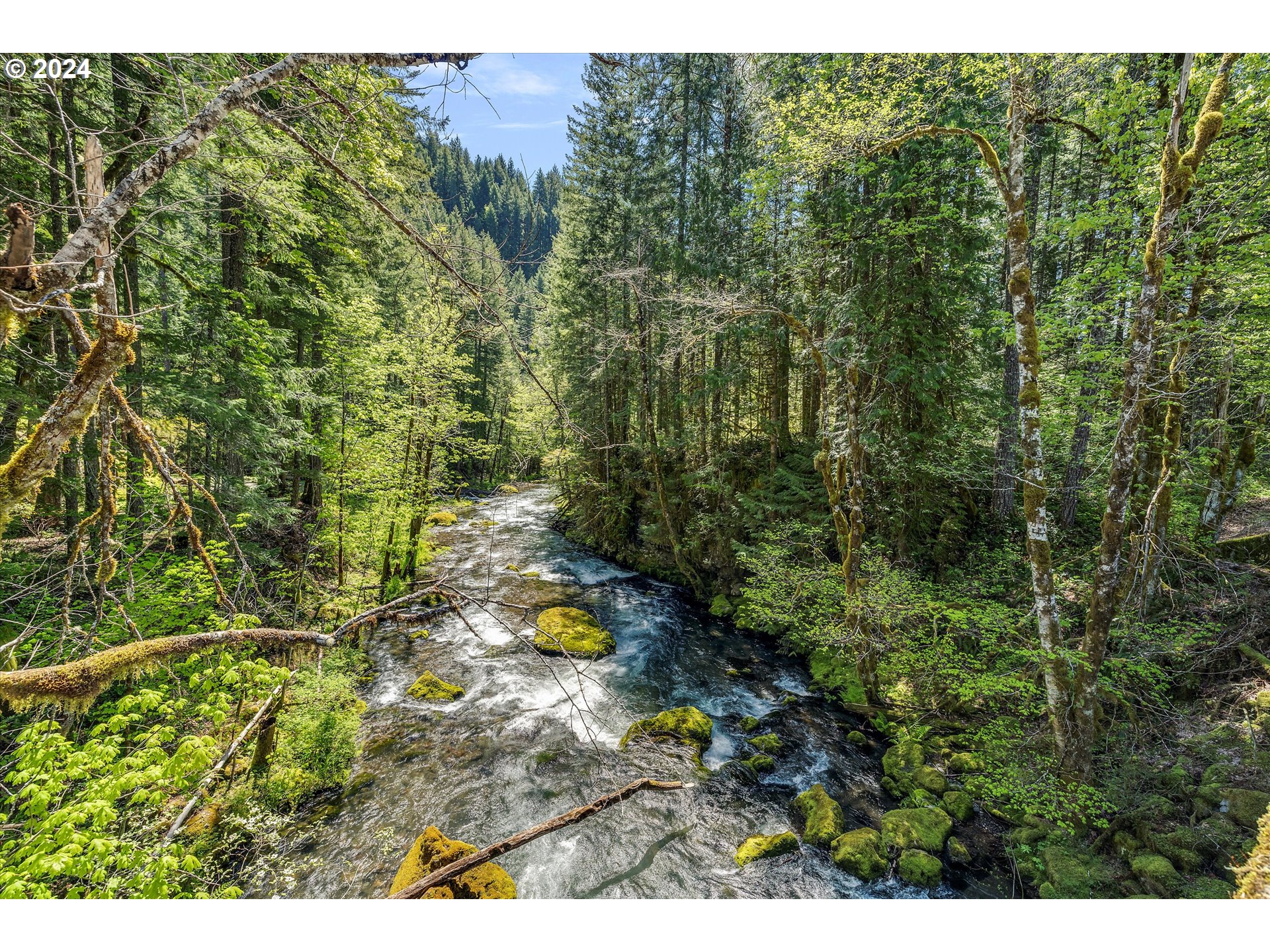 231 Cedar Creek Road Carson, WA 98610 - Photo 29 of 37 Gallery Image 29