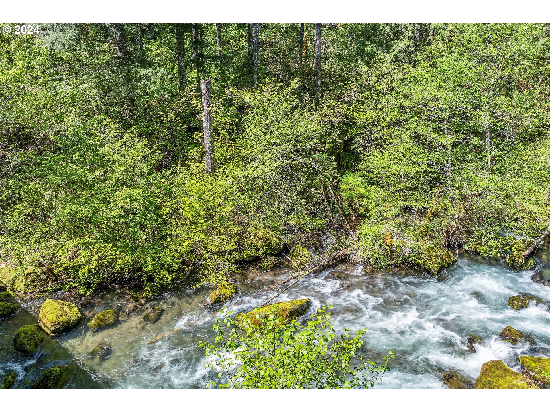 231 Cedar Creek Road Carson, WA 98610 - Photo 30 of 37 Gallery Image 30
