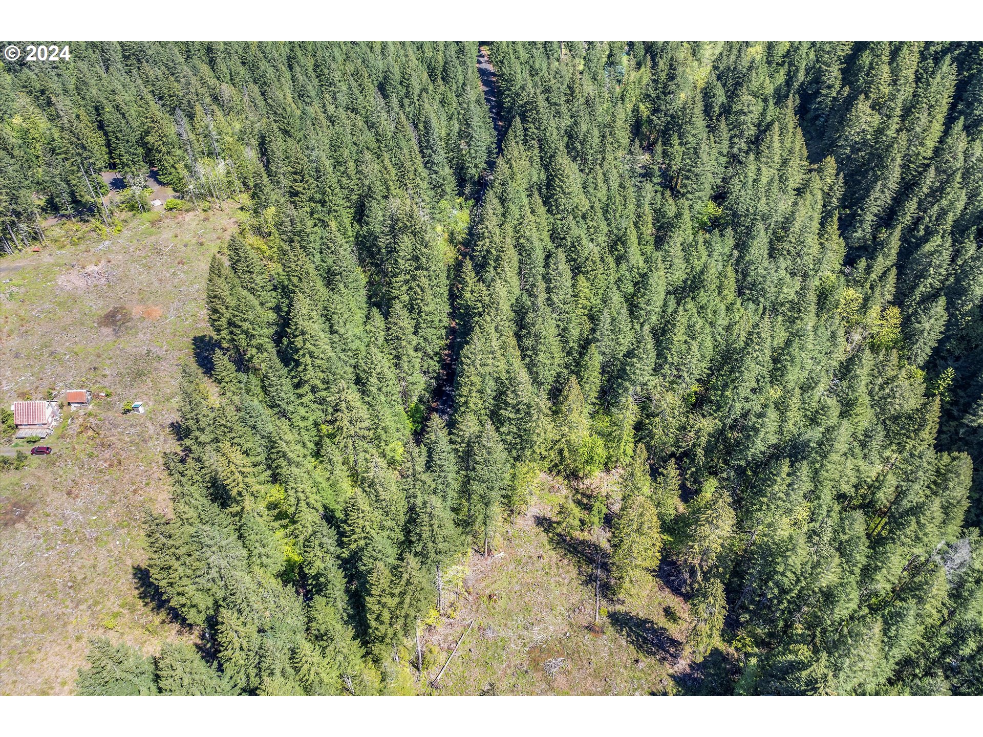 231 Cedar Creek Road Carson, WA 98610 - Photo 32 of 37 Gallery Image 32