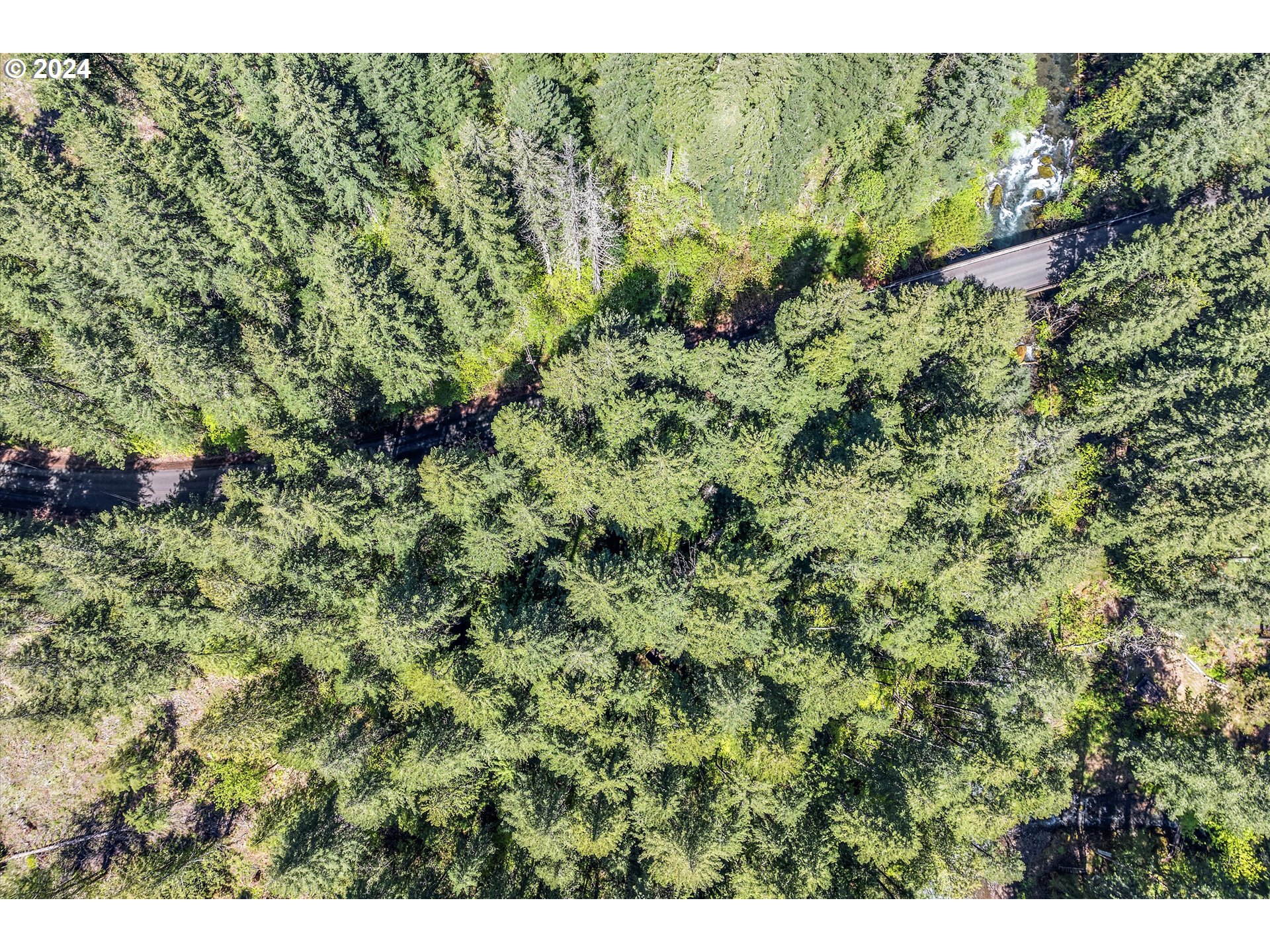 231 Cedar Creek Road Carson, WA 98610 - Photo 35 of 37 Gallery Image 35