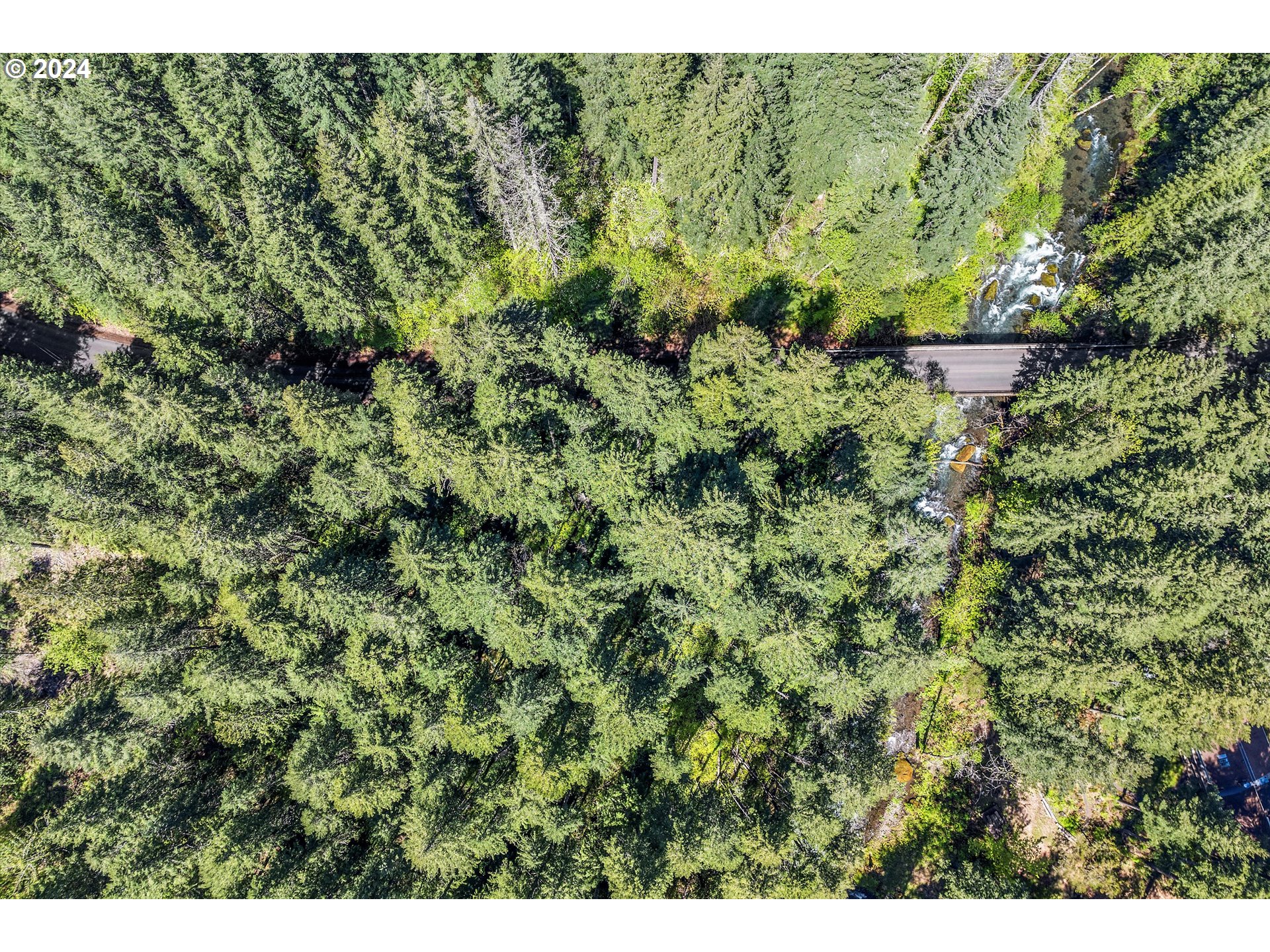 231 Cedar Creek Road Carson, WA 98610 - Photo 36 of 37 Gallery Image 36