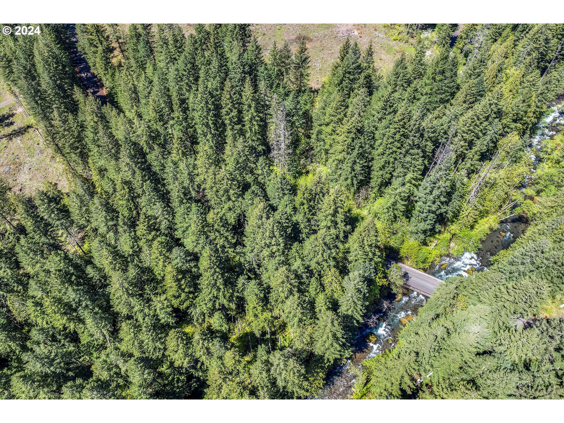231 Cedar Creek Road Carson, WA 98610 - Photo 37 of 37 Gallery Image 37