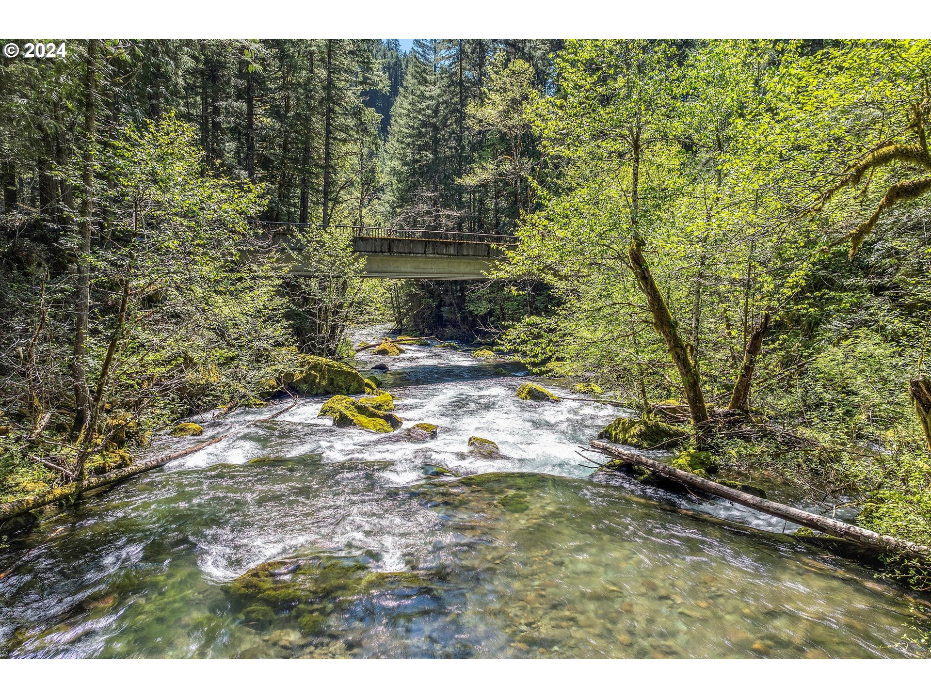 231 Cedar Creek Road Carson, WA 98610 - Photo 4 of 37 Gallery Image 4