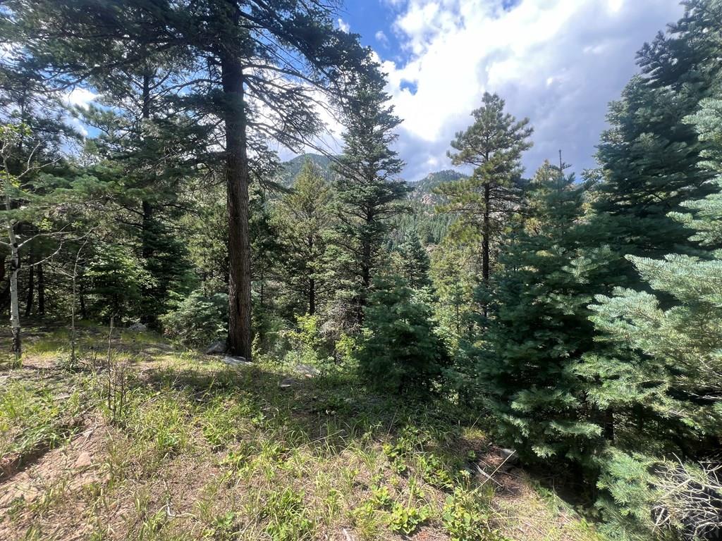 Tbd Bartlett Trail Rye, CO 81069 - Photo 11 of 20 Gallery Image 11