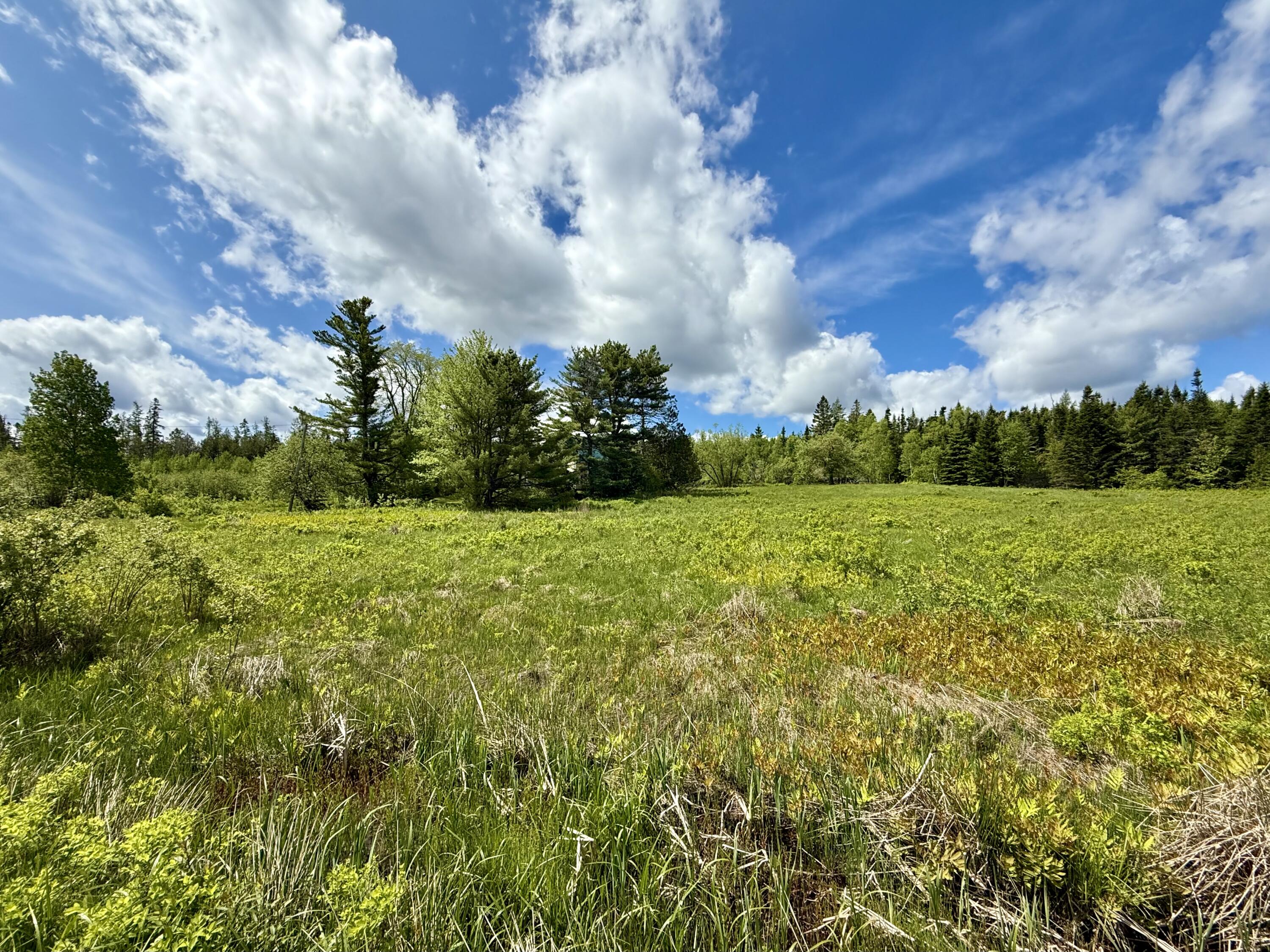149 Old Eastport Road Perry, ME 04667 - Photo 21 of 71 3