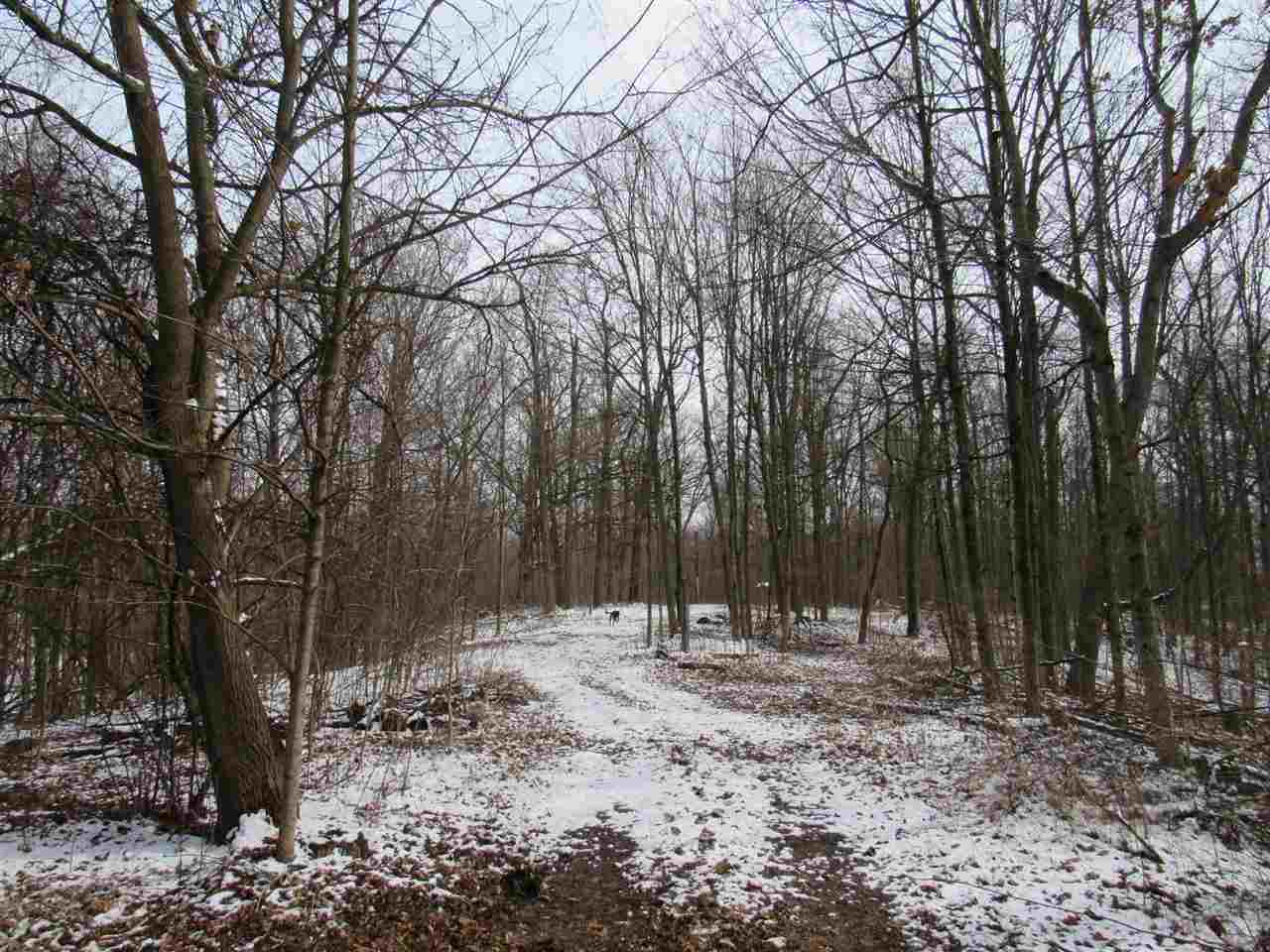 17622 Tonkel Road Auburn, IN 46706 - Photo 3 of 6