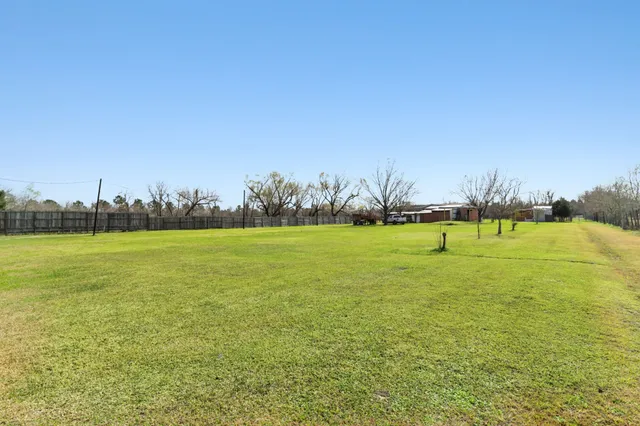a view of a field with a tree in a yard