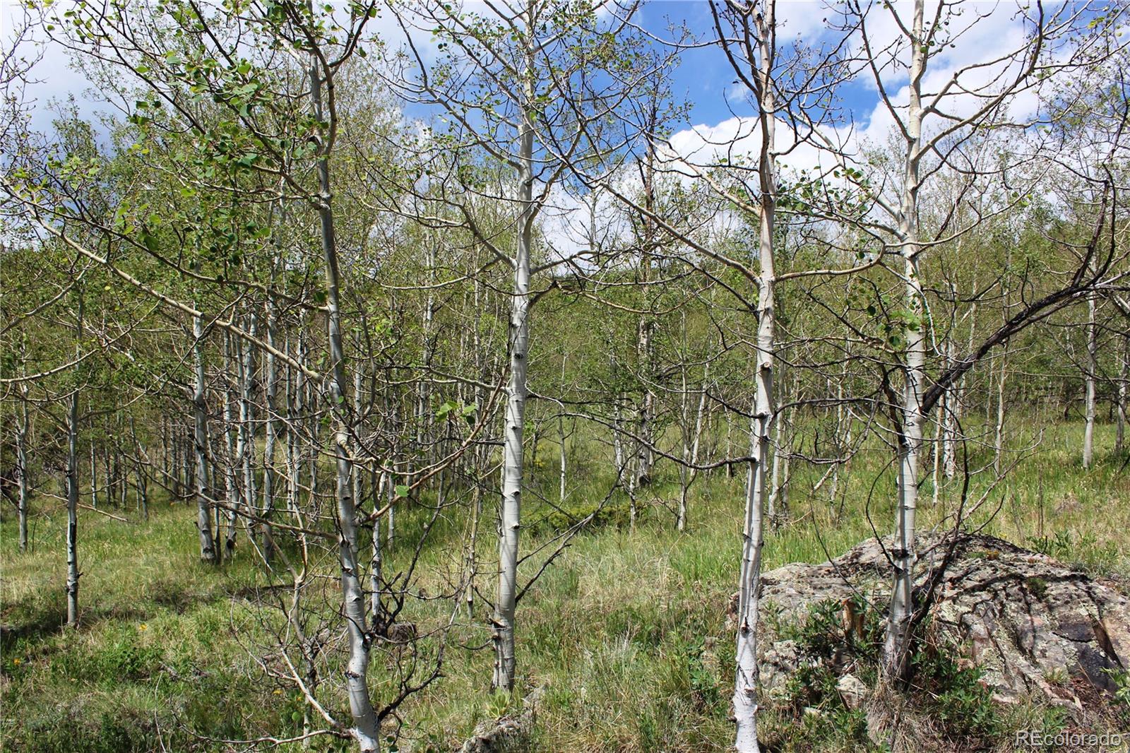 0 Quartz Hill Road Central City, CO 80427 - Photo 13 of 30