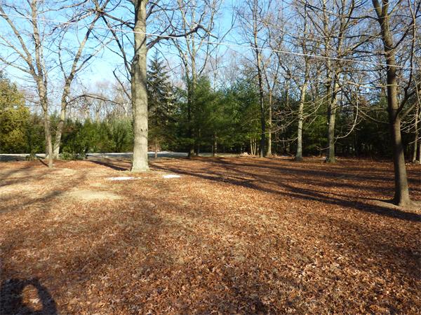 19 Vernon Road Medway, MA 02053 - Photo 14 of 14 Gallery Image 14