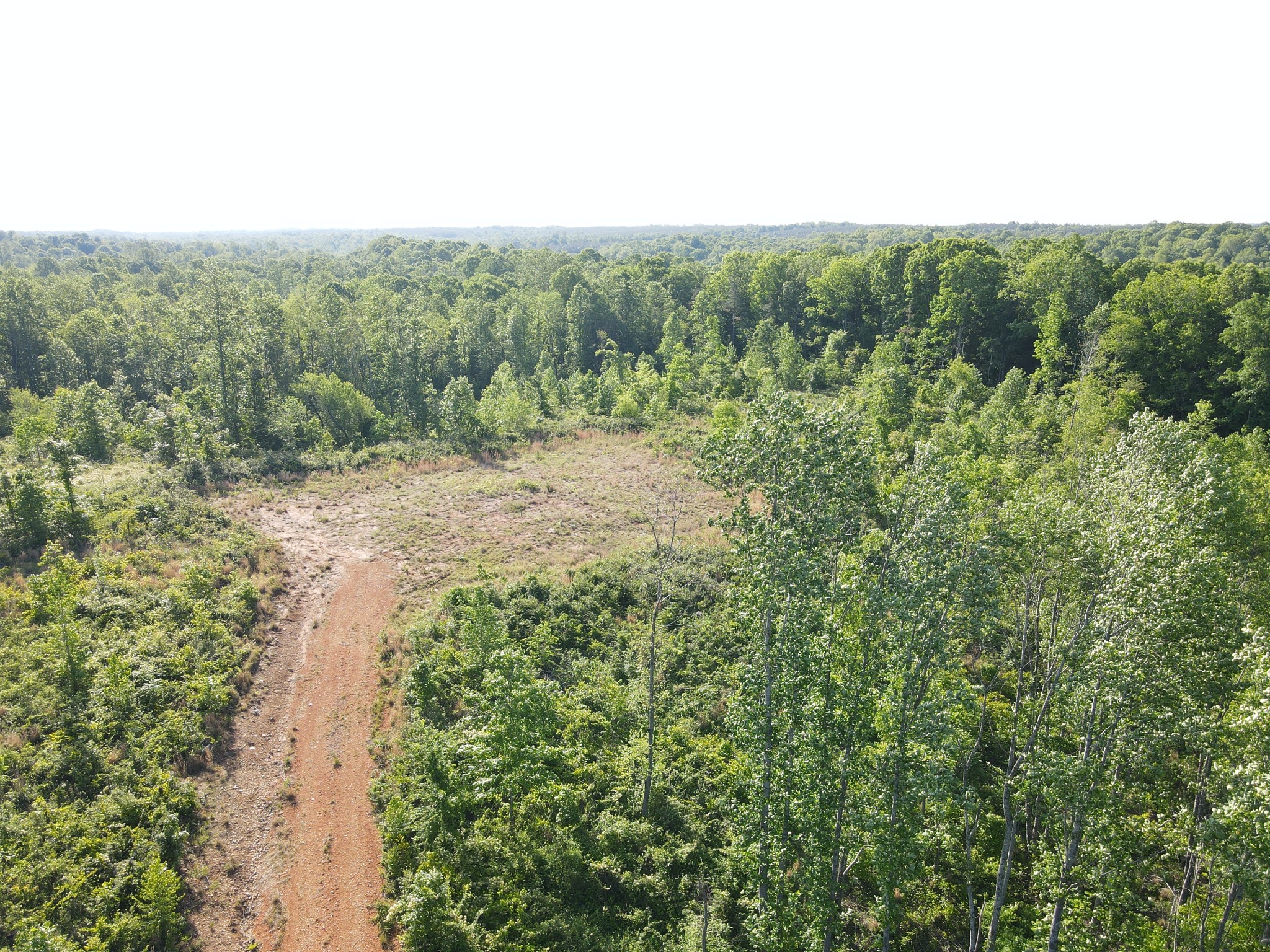 303 Hurricane Creek Road Dover, TN 37058 - Photo 11 of 13