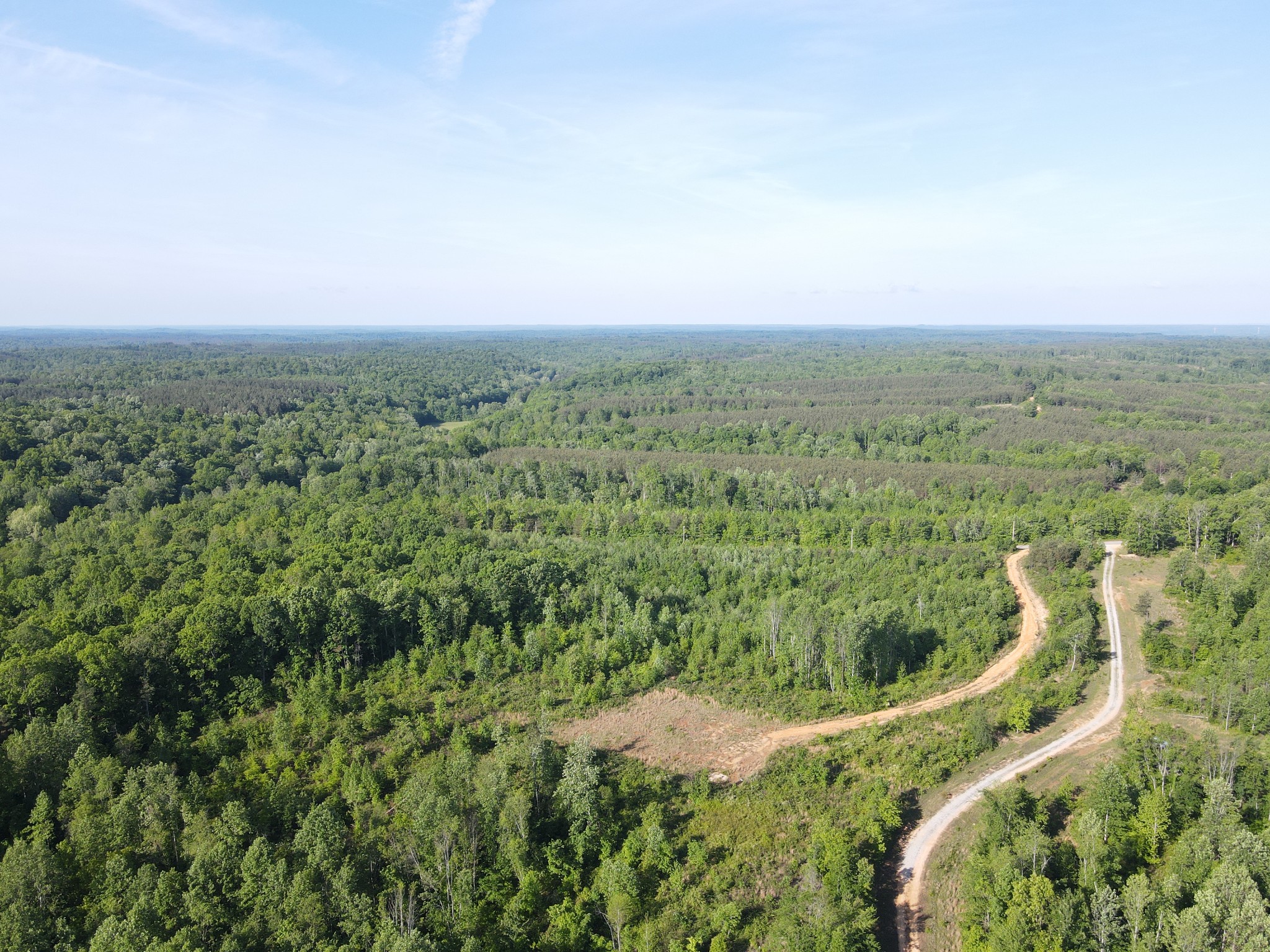 303 Hurricane Creek Road Dover, TN 37058 - Photo 6 of 13