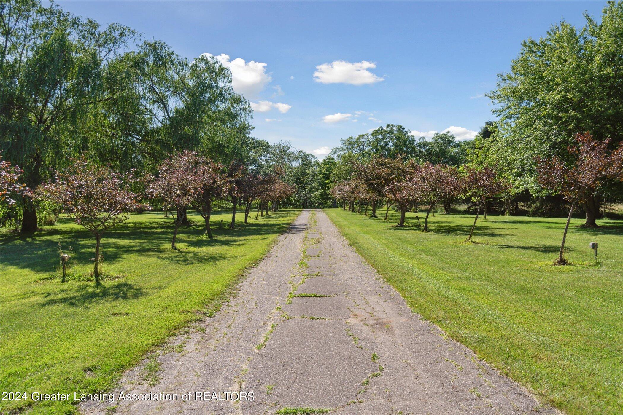 6800 North Maple River Road Elsie, MI 48831 - Photo 53 of 62 54-6800-N-Maple-River-Rd-Elsie-MI-48831-