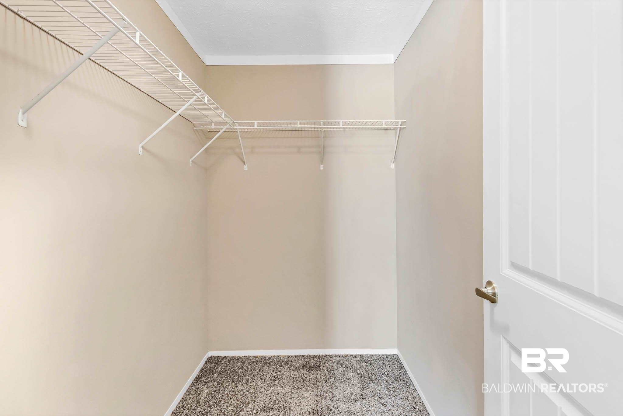 15064 Black Griffin Road Loxley, AL 36551 - Photo 32 of 38 Walk in closet with carpet