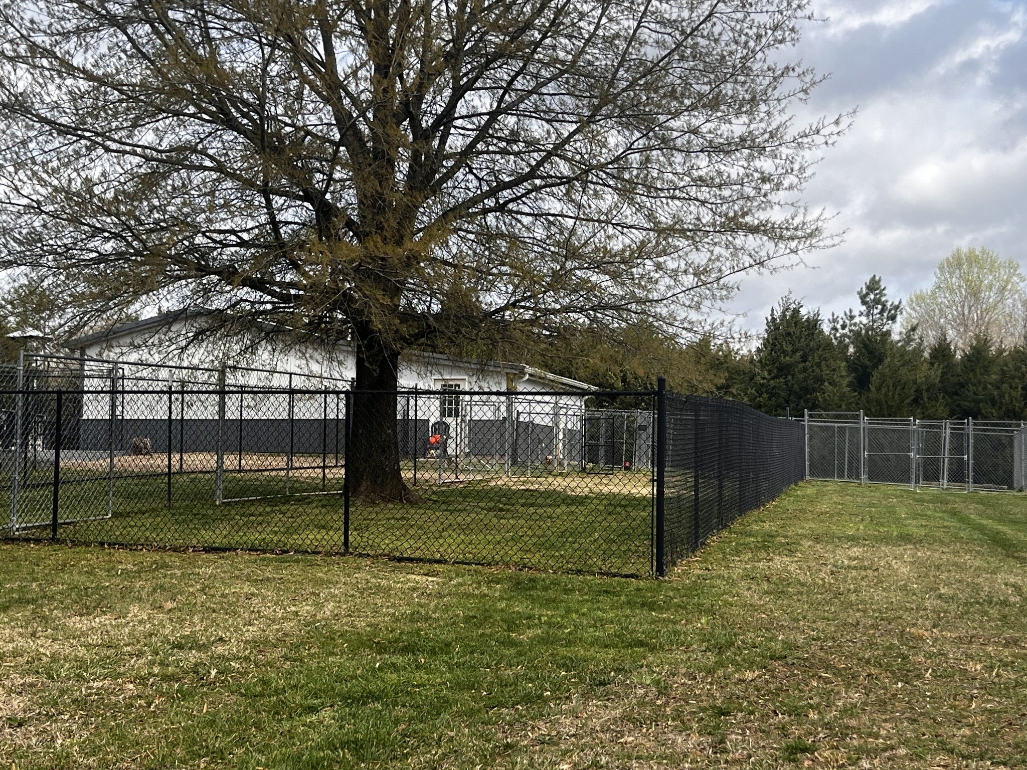 6702 Greenbrier Cemetery Road Greenbrier, TN 37073 - Photo 12 of 48