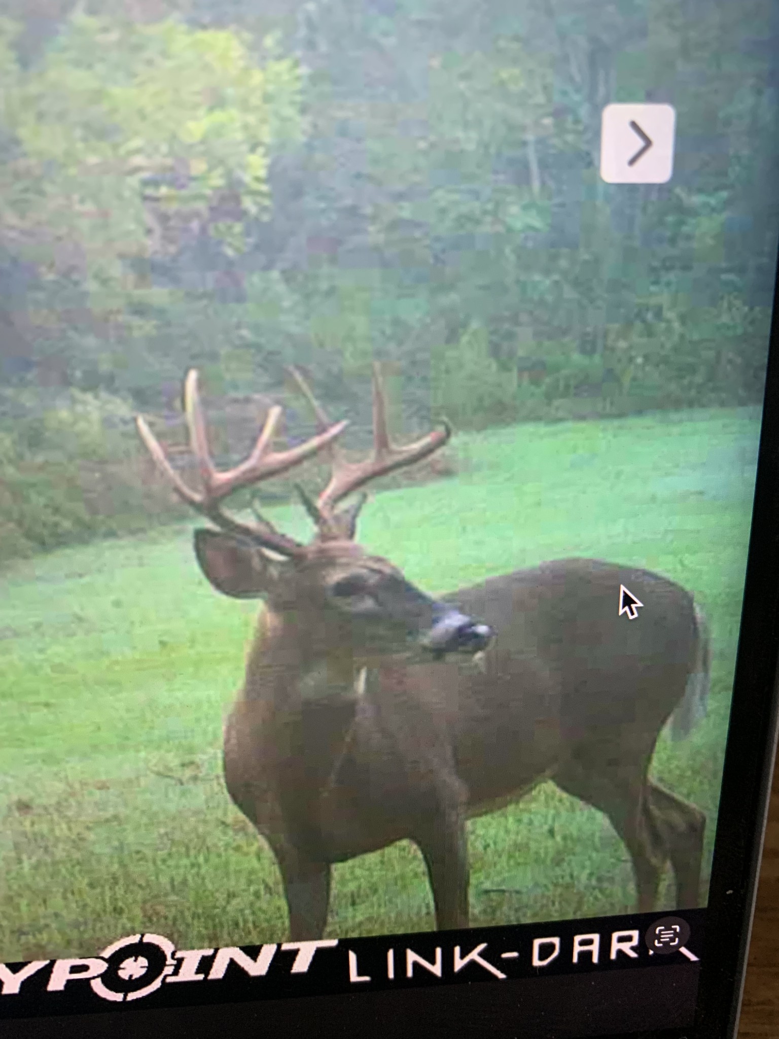 6702 Greenbrier Cemetery Road Greenbrier, TN 37073 - Photo 47 of 48