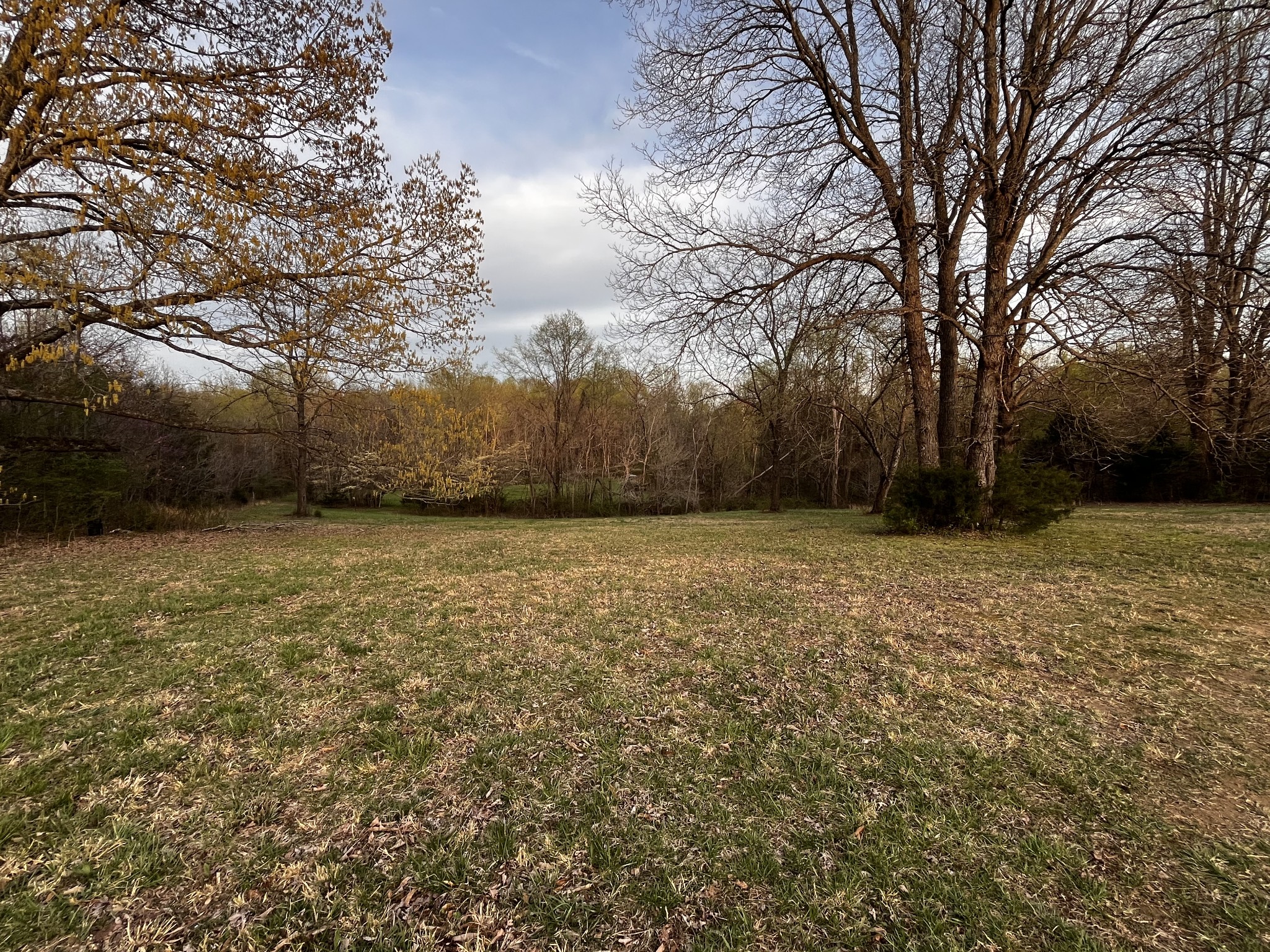 6702 Greenbrier Cemetery Road Greenbrier, TN 37073 - Photo 5 of 48
