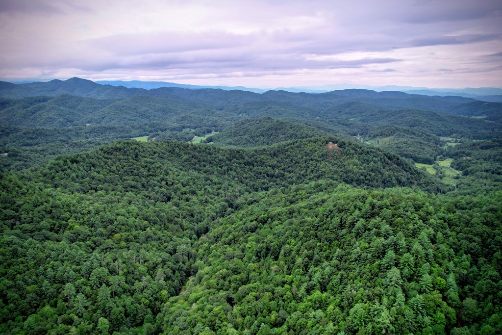 0 Flea Mountain Road Murphy, NC 28906 - Photo 45 of 54