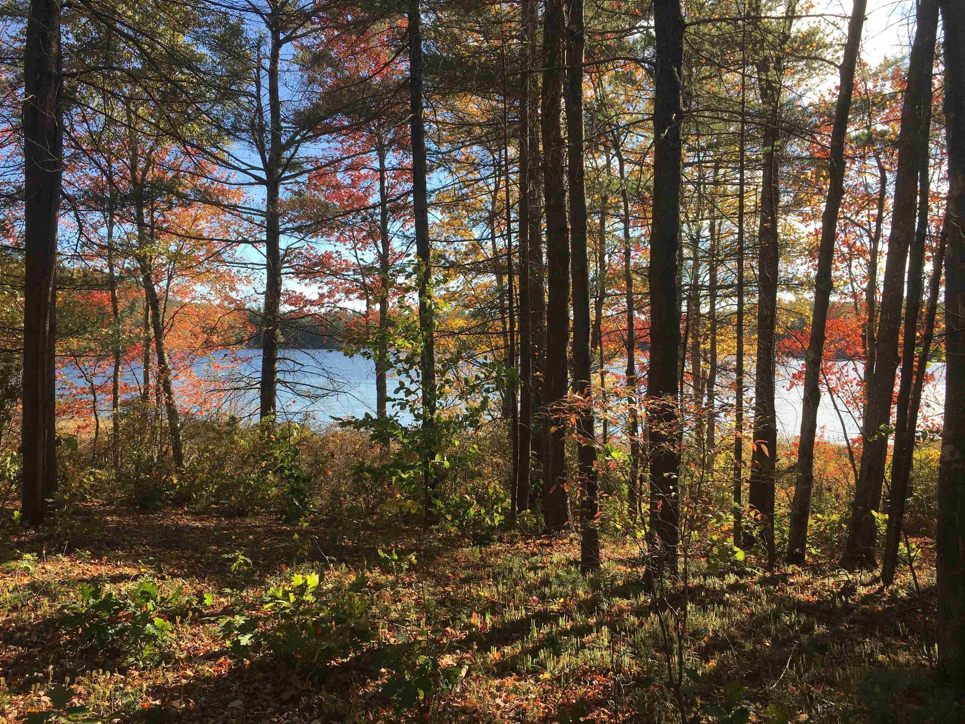 10-l 32-34 Suncook Valley Road Center Barnstead, NH 03225 - Photo 20 of 21