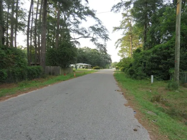 $75,000 | 249 Smoak Street, Bamberg, SC 29003