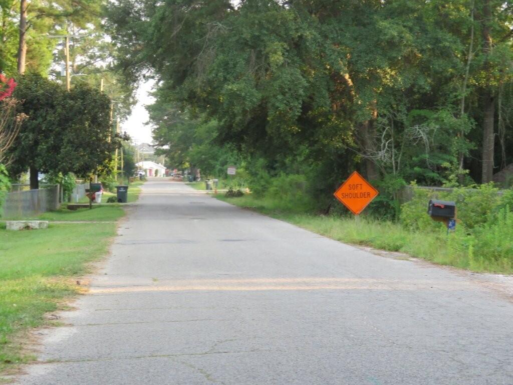 249 Smoak Street Bamberg, SC 29003 - Photo 14 of 14 053 (2)