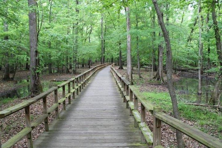 1115 Macon Ridge Drive Collierville, TN 38017 - Photo 26 of 32 Gallery Image 26